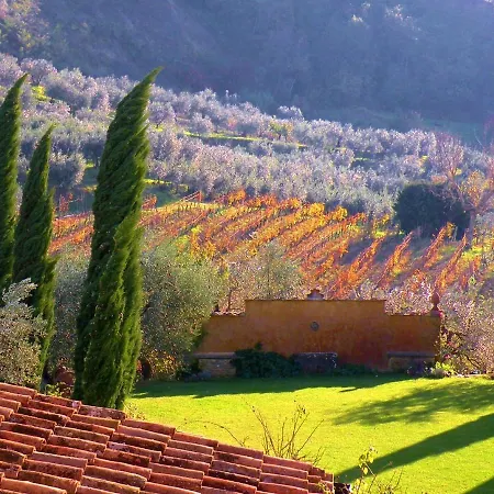 Poggiolaia Luia